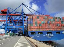 011_85_0138 Das 340 m lange und 45m breit Container HYUNDAI FORCE liegt am Ballinkai des Terminals Altenwerder; weit ragen die Containerbrücken über das Schiff und löschen die Ladung;  der Frachter kann ca. 8750 TEU Standardcontainer transportieren.