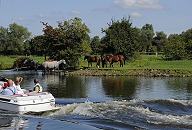 011_26062 Eine Herde Pferde stehen im Wasser oder auf einer Wiese am Ufer der Dove-Elbe. Ein Sportboot fährt vorbei, die Insassen beobachten die Tiere. Das Wasserrevier der Dove-Elbe wird gern von Motorbooten befahren - es liegt dort auch eine Anzahl von Sportboothäfen.    ©www.christoph-bellin.de