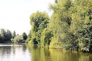 6329 Das Ufer des Billekanals in Hamburg Rothenburgsort ist dicht mit Bäumen und Sträuchern bewachsen.
