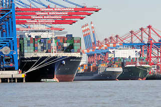 5985 Containerfrachter CMA CGM JULES VERNE im Hamburger Hafen unter den Containerbrücken vom Container Terminal Burchardkai - dahinter legt ein Feederschiff an.