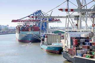 5205 Containerschiff unter Containerbrücken im Hamburger Hafen, Container Terminal Tollerort.