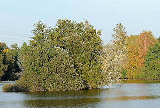 9423 See am Jenfeder Moor - Insel mit Bäumen, am Seeufer Bäume mit Herbstlaub.