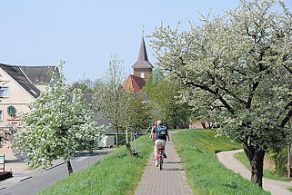 2774 Fahrradfahrer auf dem Deichweg auf der Deichkrone zwischen blühenden Obstbäumen - Kirchturm der St. Pankratiuskirche von Hamburg Neuenfelde.