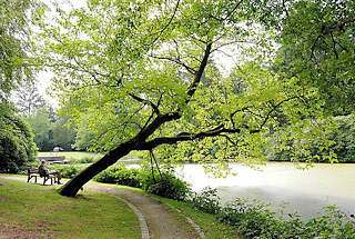 6263 Ohlsdorfer Friedhof - mit fast 400 Hektar der größte Parkfriedhof Europas - Teich mit Bäumen, Holzbank mit Parkbesucher am Wasser.