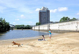 5759 Haken in Hamburg Rothenburgsort - Teile des ehem. Hafenbeckens wurde mit Sand verfüllt; re. die Mauer einer Sturmflutanlage  - im Hintergrund das Hotel HolidayInn. Ein Hund spielt im Sand.