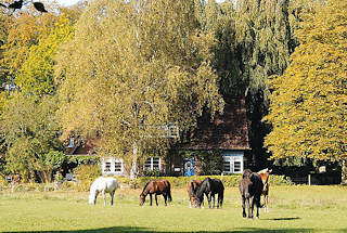 9380 Pferdeweide mit grasenden Pferden in Hamburg Wohldorf Ohlstedt - Einzelhaus zwischen Bäumen.