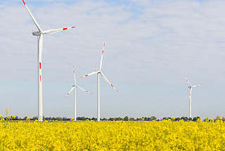 1398 Windkraftanlagen - blühender Raps; Bilder aus Neuenfelde b. Elmshorn.