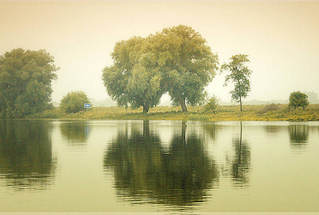 1330 Deichlandschaft an der Eider - Bäume spiegeln sich am frühen Morgen im Wasser.