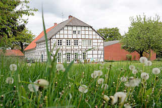 6985 Wiese mit Pusteblumen - Fruchtstand vom Löwenzahn; Fachwerkhaus in Dickfeitzen / Wendland.
